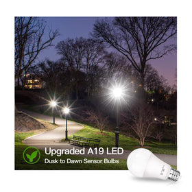 SHINE HAI daylight 5000K bulb delivers crisp, daylight-like illumination