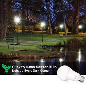 SHINE HAI energy-efficient bulb with long lifespan for fewer replacements
