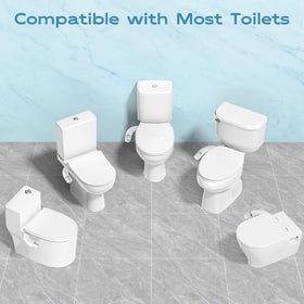 Shineforu dual-mode bidet demonstrates adjustable posterior wash angles
