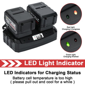 SHINTYOOL dual-port charger powering two batteries simultaneously