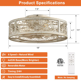 Shluce remote-control caged fan offers easy speed and light adjustments.