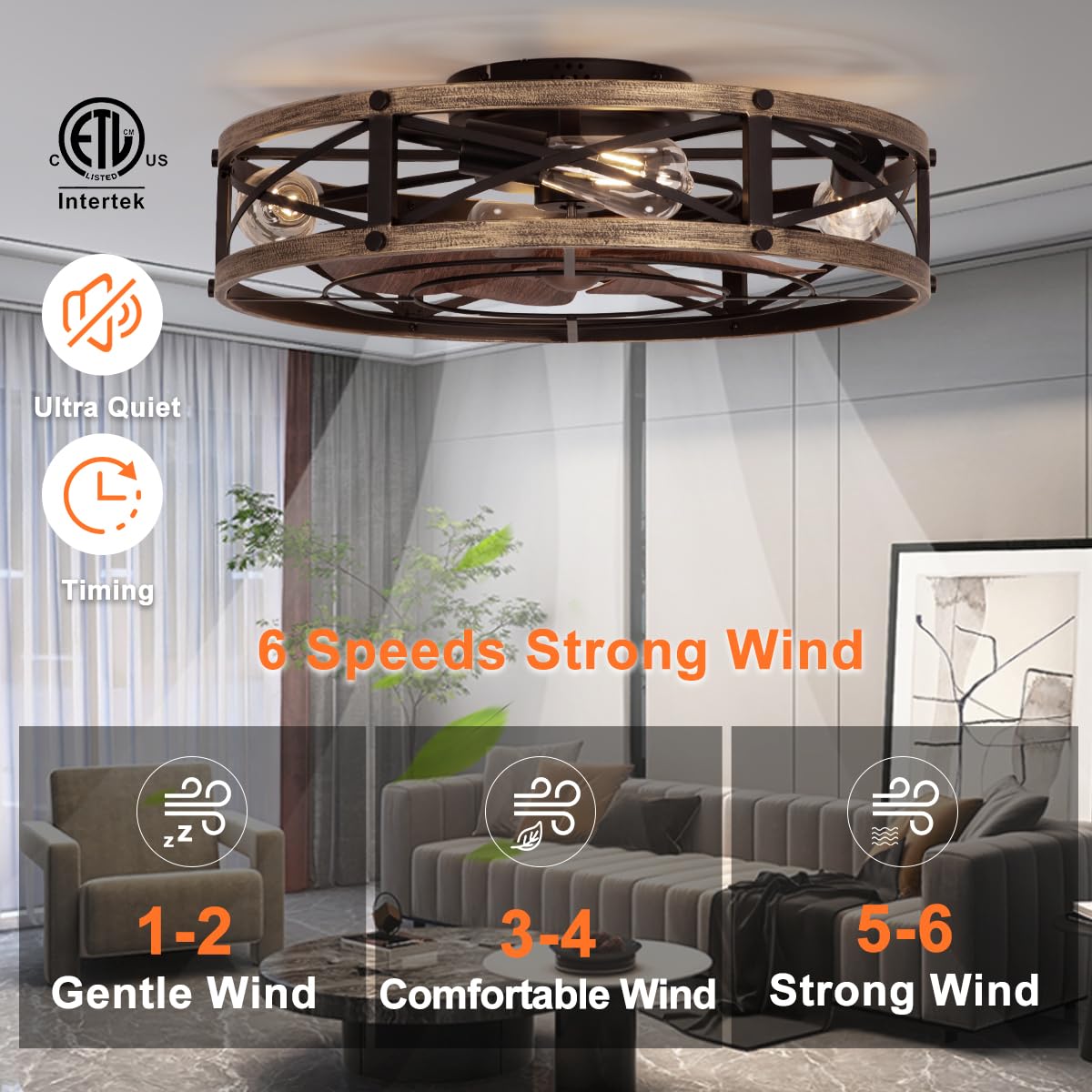 SHLUCE remote control demonstrates convenient speed and light adjustments.