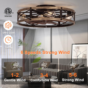 SHLUCE remote control demonstrates convenient speed and light adjustments.