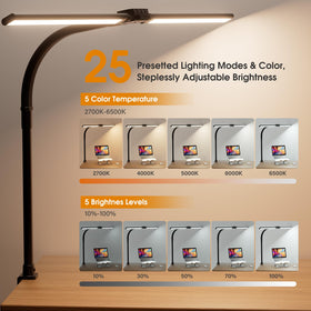 Sibrille LED desk lamp with gooseneck and two heads for broad illumination