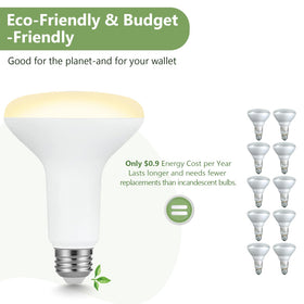 Long-life BR30 bulb up to 15,000 hours reduces replacements