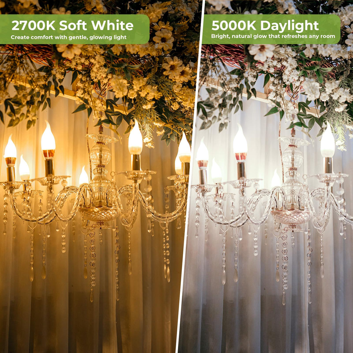 Sigalux E12 2700K soft white glow enhances living spaces with warmth.