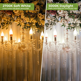 Sigalux E12 2700K soft white glow enhances living spaces with warmth.