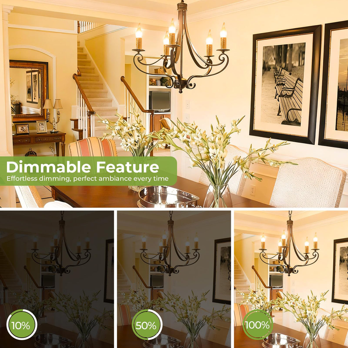 Sigalux E12 320-degree beam angle lights decorative fixtures evenly.