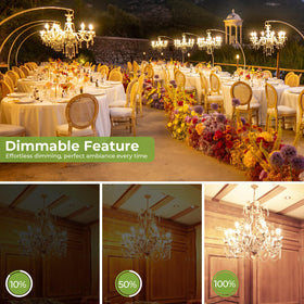Sigalux dimmable LED bulb provides smooth brightness from 10% to 100%.