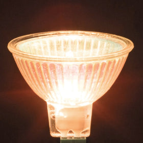 Simba Lighting landscape accent light showcasing architectural features