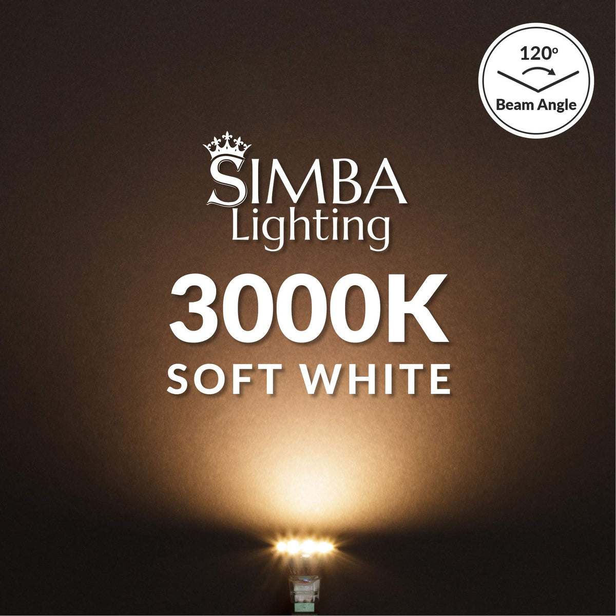 Simba Lighting MR11 LED bulb suited for landscape lighting