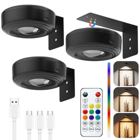 Skairipa picture lights on wall controlled by remote for art display