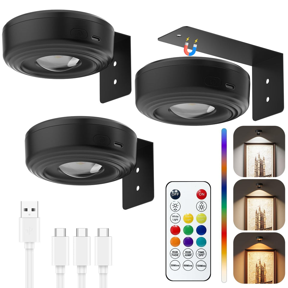 Skairipa picture lights on wall controlled by remote for art display