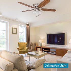 Skelang soft light ambiance globe for ceiling fans creates inviting mood