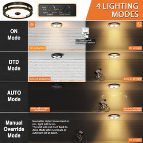 Slypadan 12-inch flush mount LED light with dusk-to-dawn illumination.