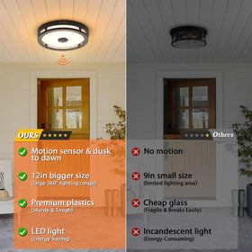 Slypadan durable iron frame exterior light withstands harsh weather.