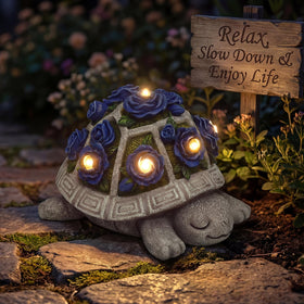 Snclriao night glow highlights the blooms and tranquil garden mood.