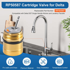 SOASEMBE RP50587 with temperature limit stop for safe water.