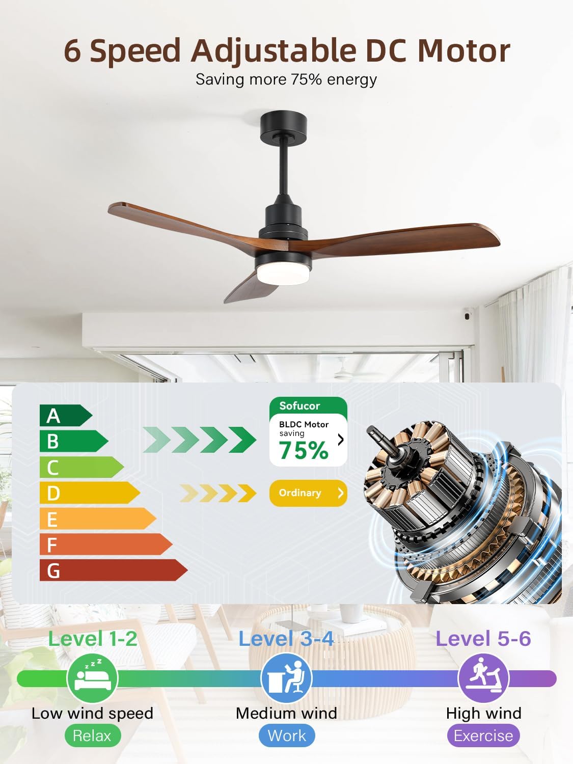Sofucor energy-saving design with efficient airflow.