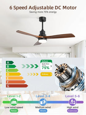 Sofucor energy-saving design with efficient airflow.