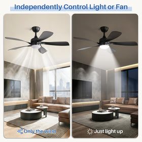 Sofucor DC motor operates quietly for peaceful rooms