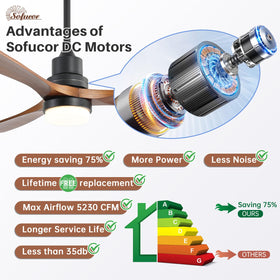 Whisper-quiet Sofucor DC motor in operation