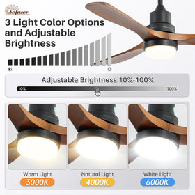 Sofucor remote control and wall switch for easy operation
