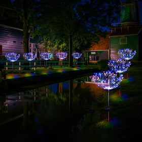 SolarEra Lights create night ambience for gardens, patios, and walkways