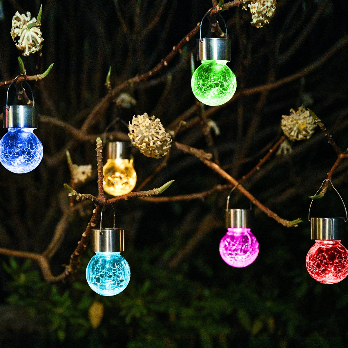 SOLPEX decorative globe lights add festive touch to garden paths.