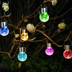 SOLPEX decorative globe lights add festive touch to garden paths.