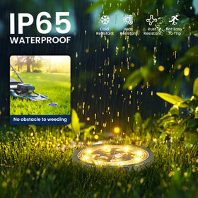 SOLPEX dusk-to-dawn solar light provides energy-saving nighttime illumination