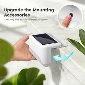 SOLPEX solar garden light withstands weather while guiding guests at night.