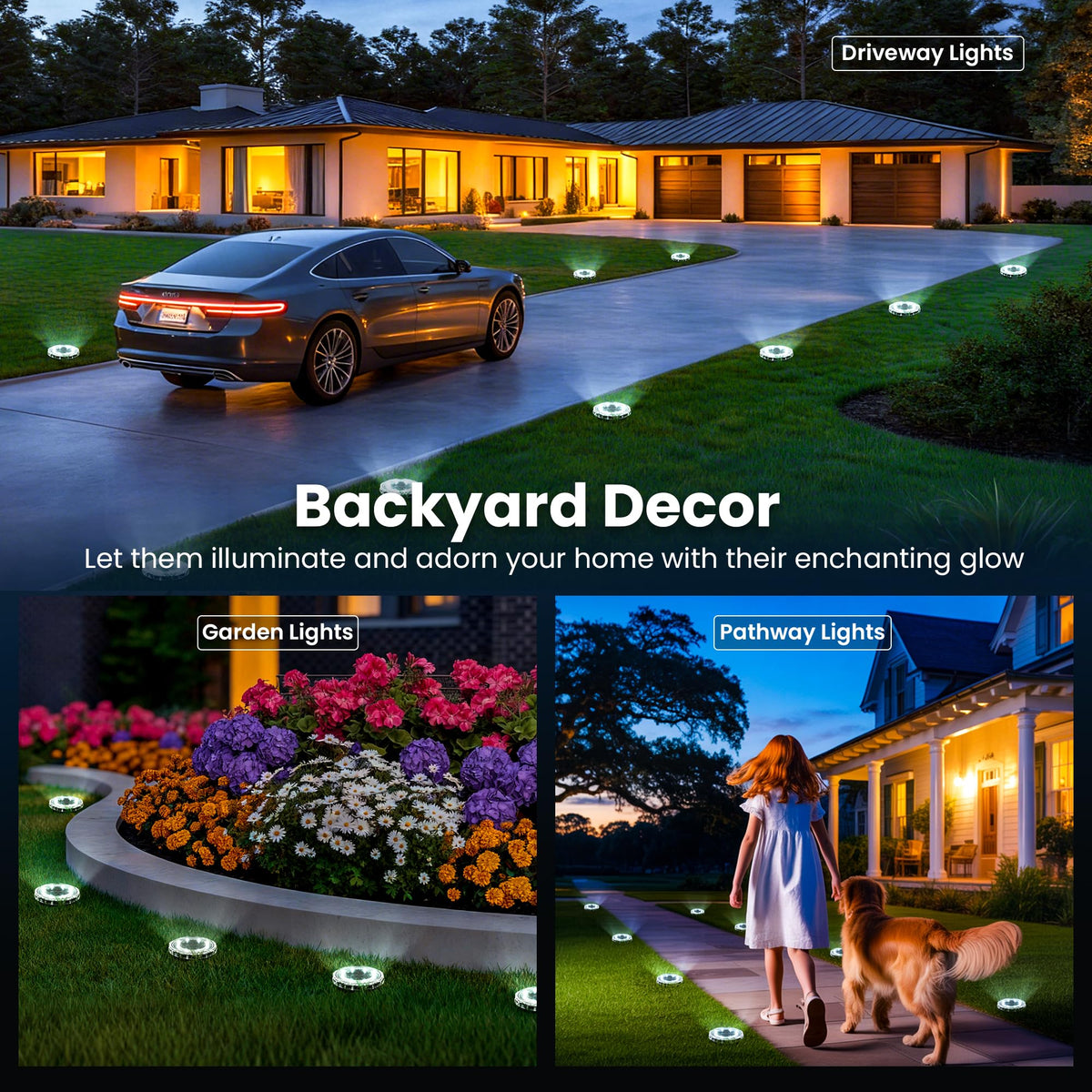 Solpex solar ground light lines driveway for clear, low-maintenance illumination.