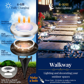 SOLPEX garden light highlighting borders with soft cool white glow
