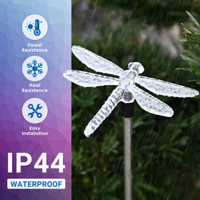 SOLPEX six-pack solar lights decorate pathways with vibrant illumination.