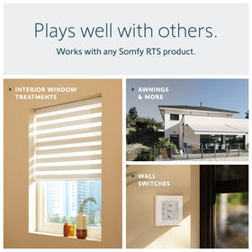 Somfy Telis 1 Patio remote with MY setting saves preferred position.