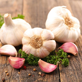 SOOLMEA starter pack for new gardeners with four reliable garlic bulbs.