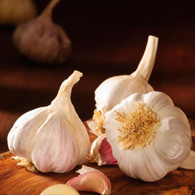 SOOLMEA Music garlic bulbs in fresh pack, suitable for cooking or planting.