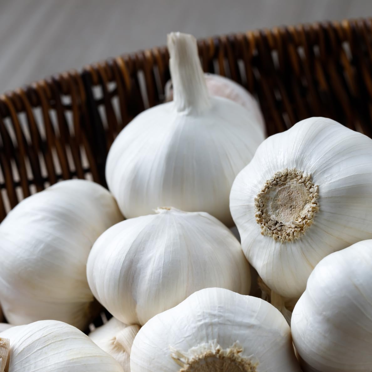 SOOLMEA Music hardneck garlic cloves shown large and robust for flavor.