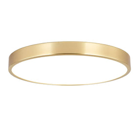 SOTTAE 12-inch brushed gold ceiling light front view enhances living rooms