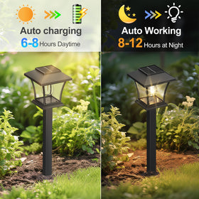  Sparkblaze yard lights enhance landscape with gentle, inviting illumination.