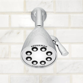 Speakman S-2251 Icon Anystream 360° system offers customizable spray options