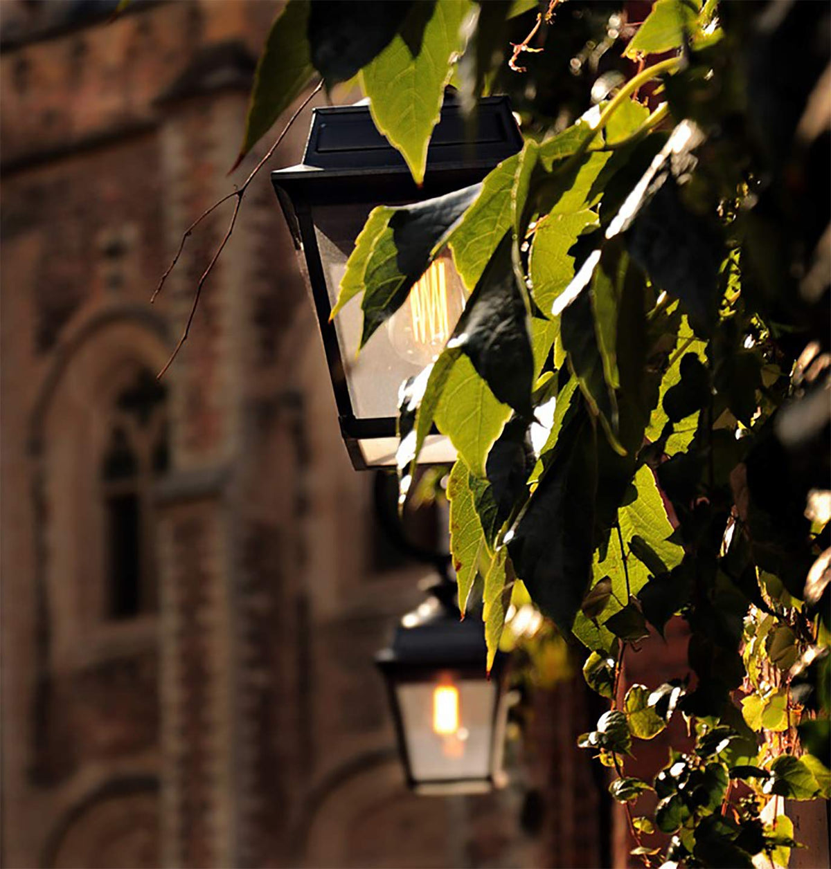 Spolico 8W 800lm bulb reduces energy use while brightening entrances.