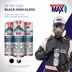 SprayMax 2K Topcoat polished panel reveals professional-depth finish.
