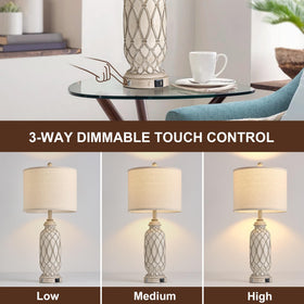 SRJJRS 3-way dimmable touch control lamp for customizable brightness