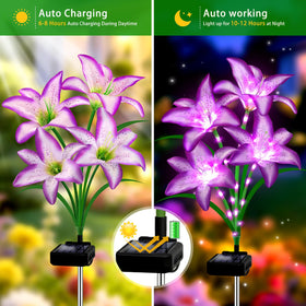 Stadeco garden decor lilies illuminate paths and patios.