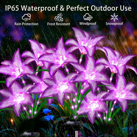 Stadeco solar lilies charge by day and glow through night.