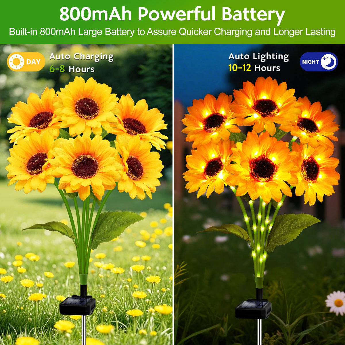 Stadeco IP65 waterproof sunflowers withstand rain while brightening walkways.