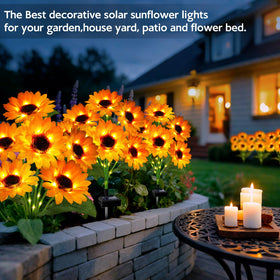 Stadeco warm white LEDs create cozy garden ambiance at dusk.