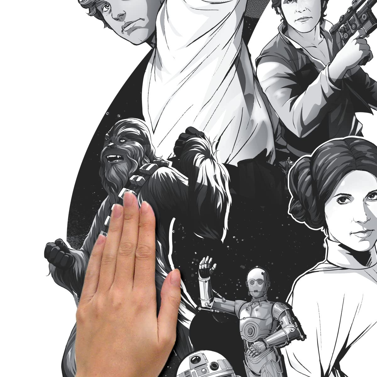 STAR WARS decal sticks to smooth surfaces without wall damage.
